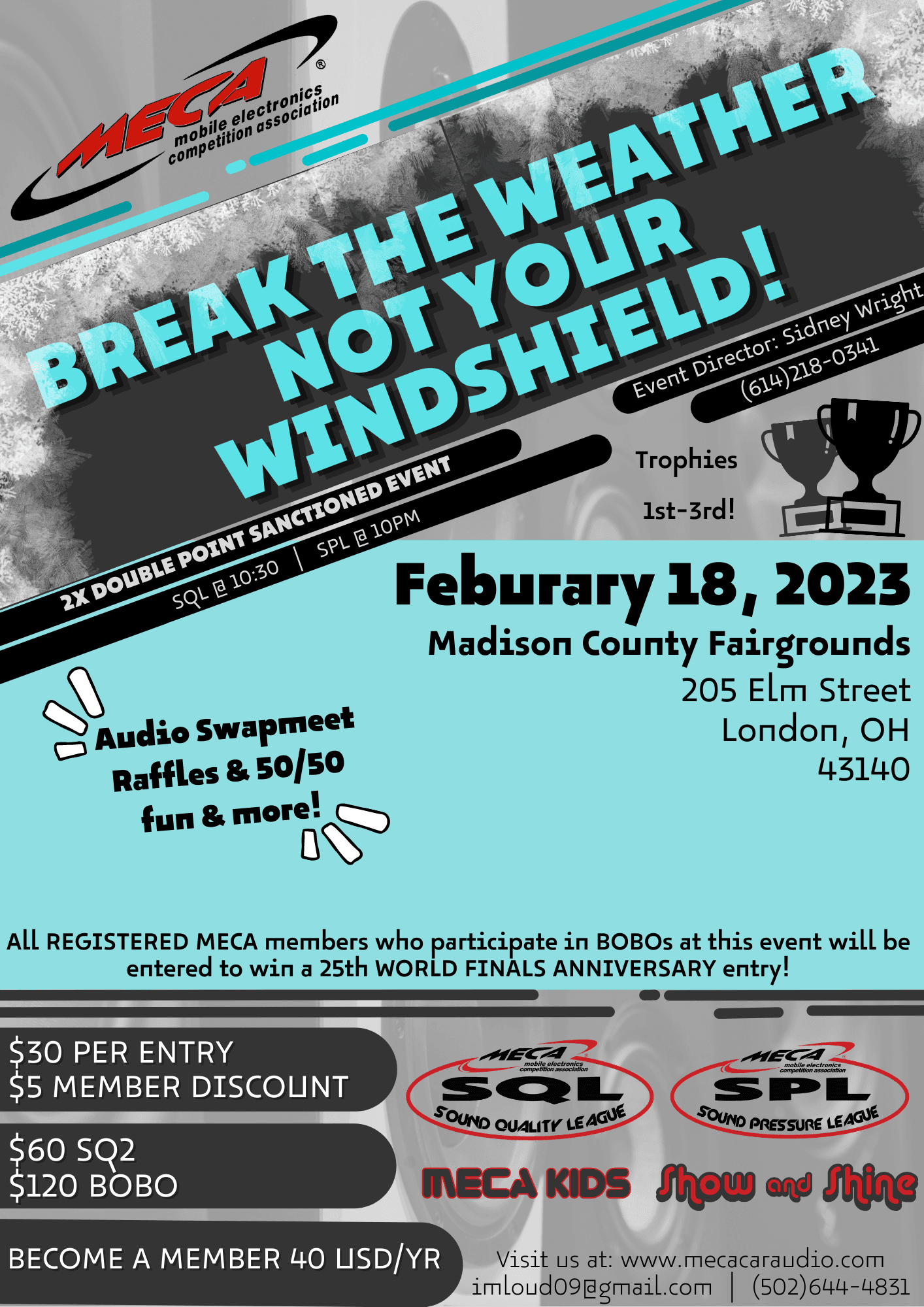 Break The Weather, Not Your Windshield! Flyer