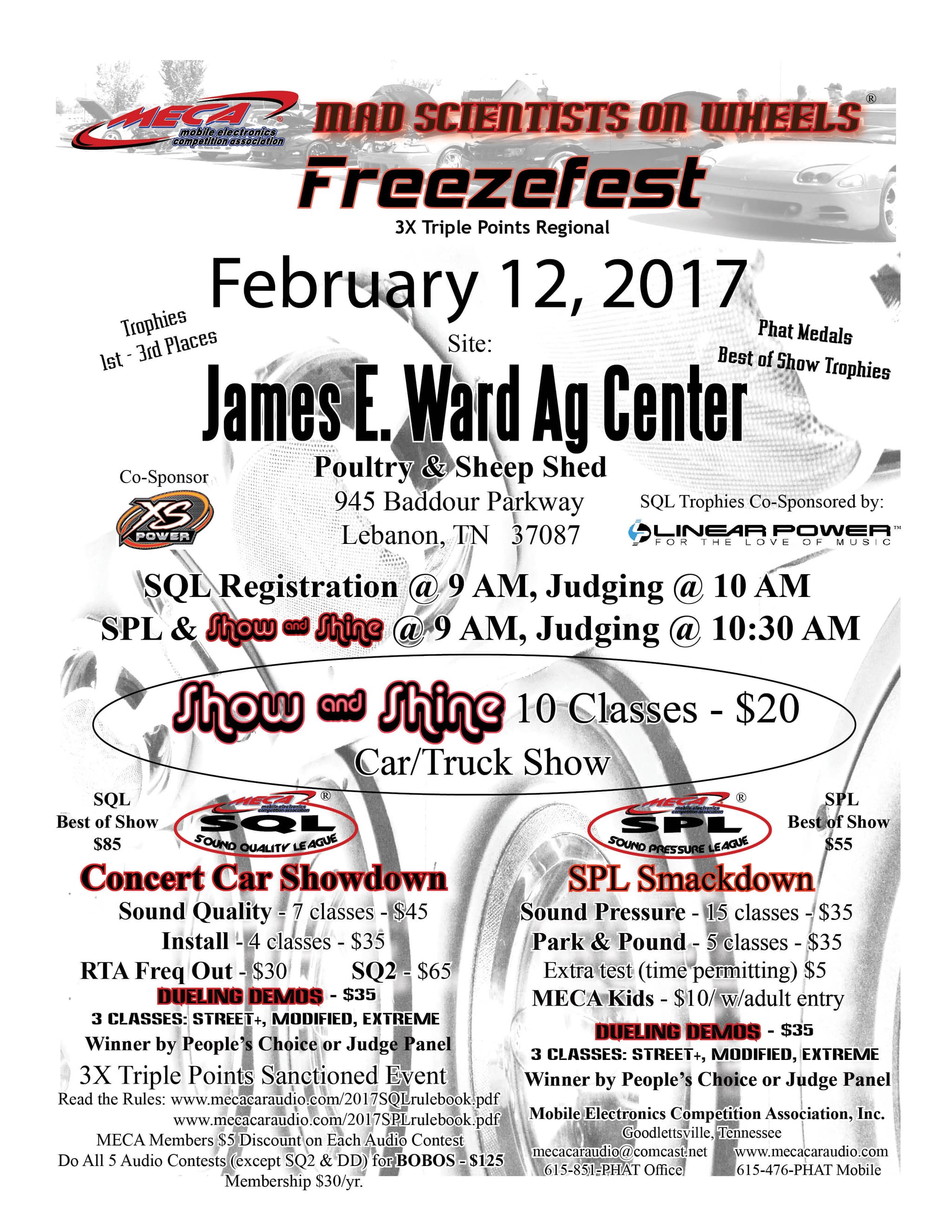 Freezefest Flyer
