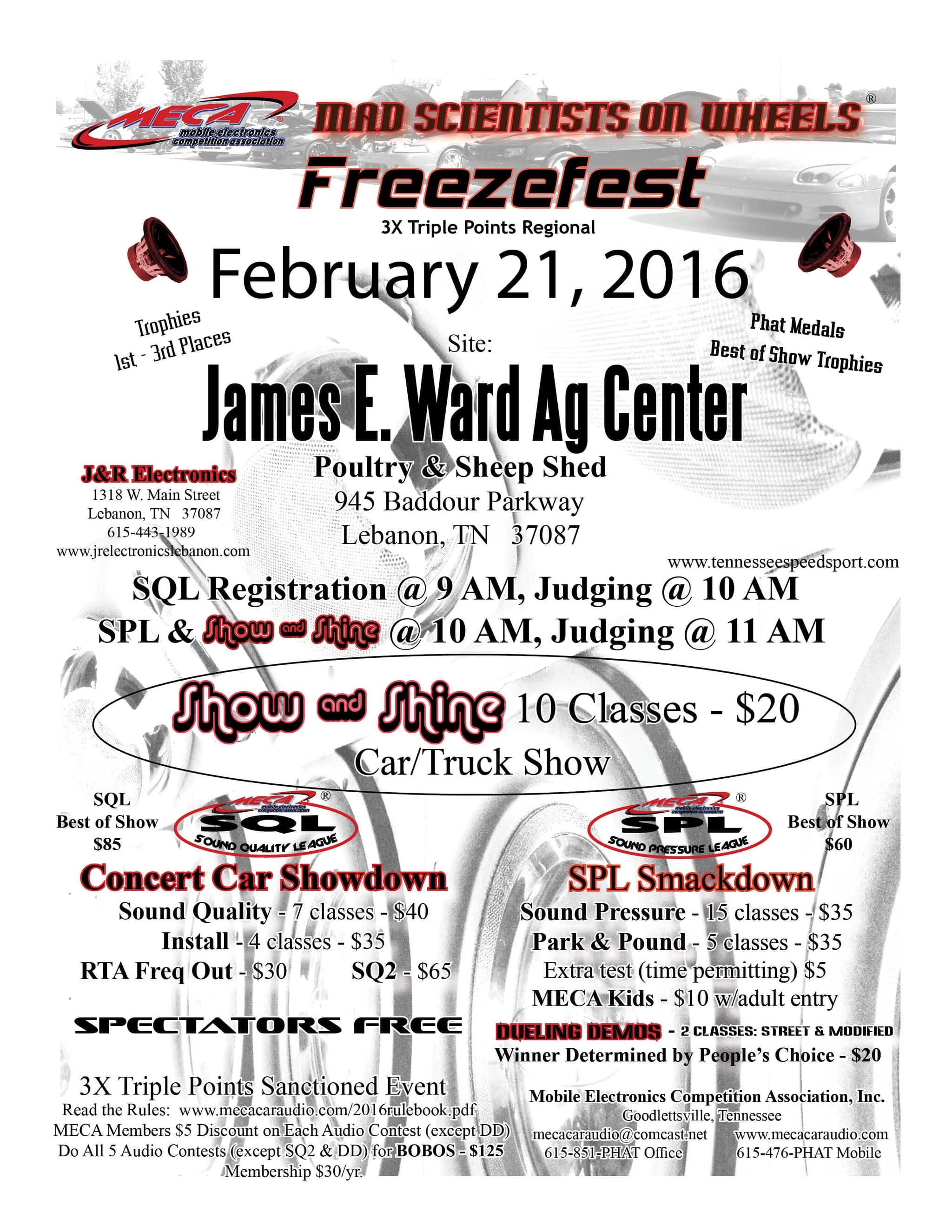Freezefest Flyer
