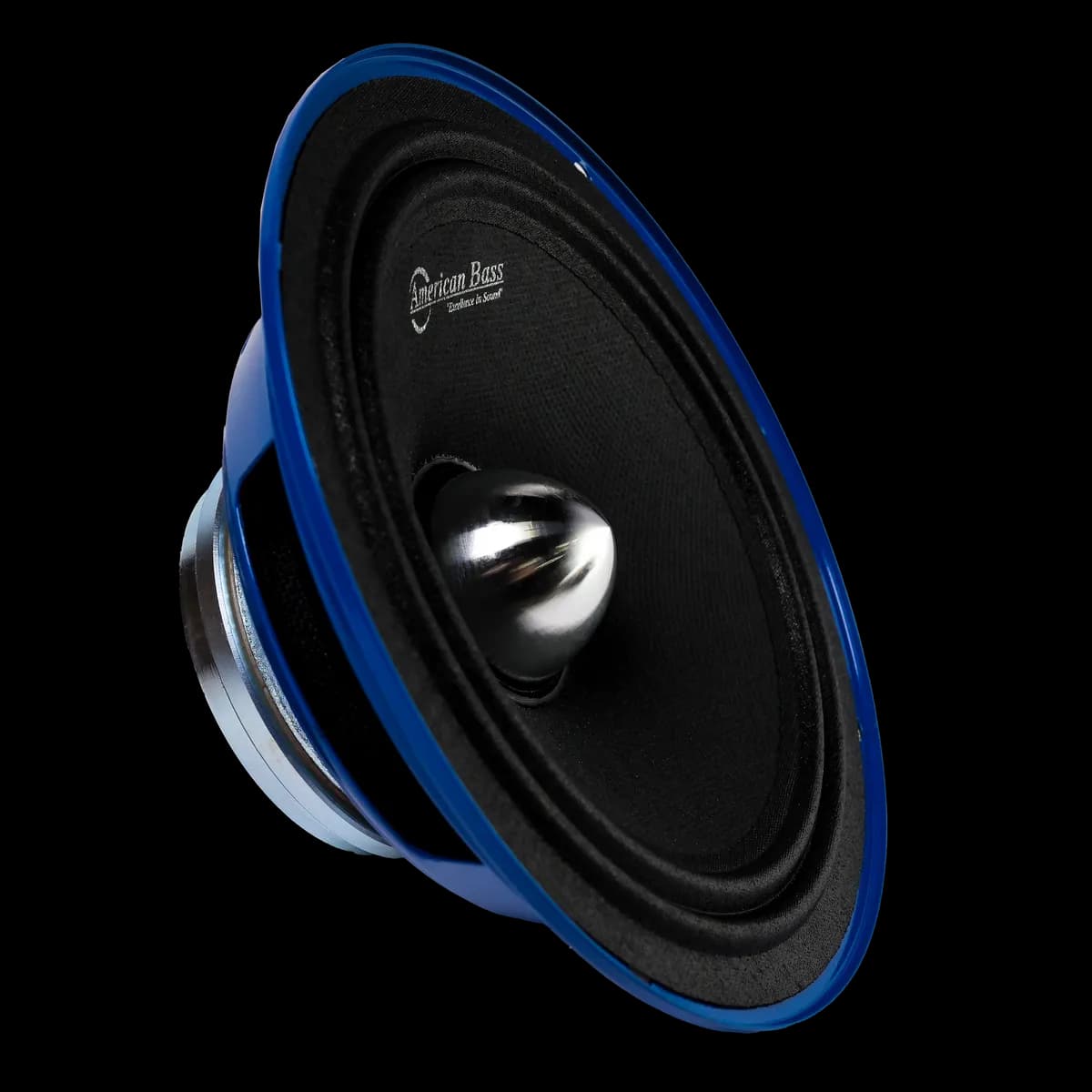 NEO 6.5 Speaker