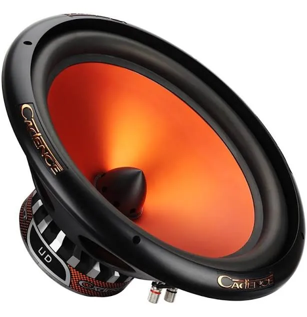 15" Car Subwoofer