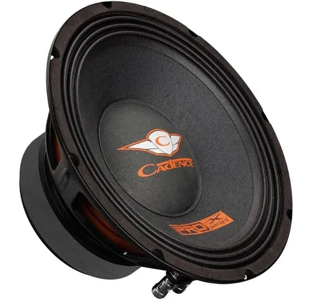 PRO10X4 10 inch Pro Audio Subwoofer