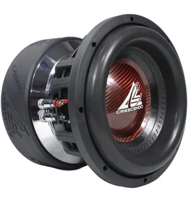 10" Subwoofer