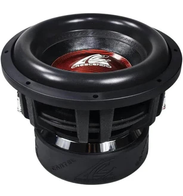 12" Subwoofer