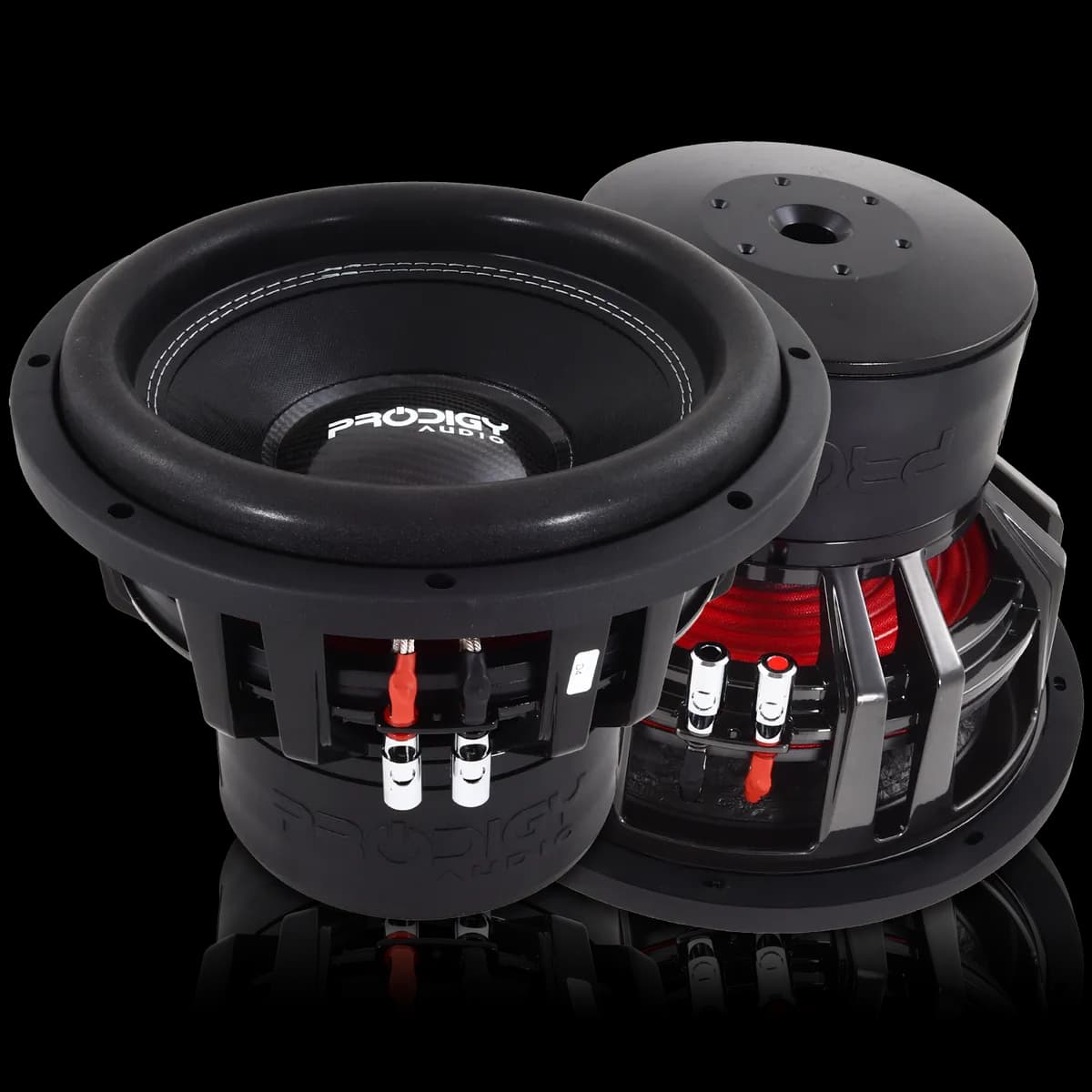 12" NB5 Series Subwoofer by Prodigy Audio™