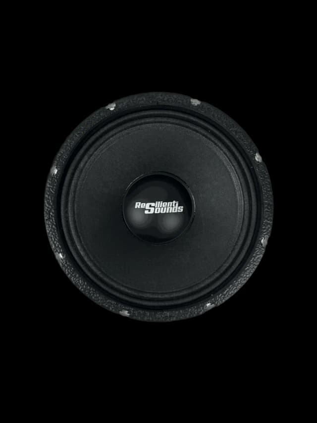 NEO 8 400W 4Ω 8" Speaker Neodymium Magnet