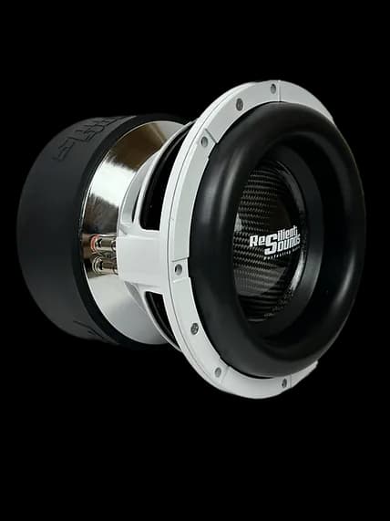 Resilient Sounds Platinum V2 10" 2500w Subwoofer