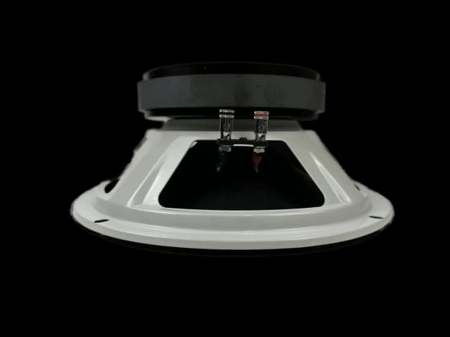 RS 10M 300W 4Ω 10" Speaker