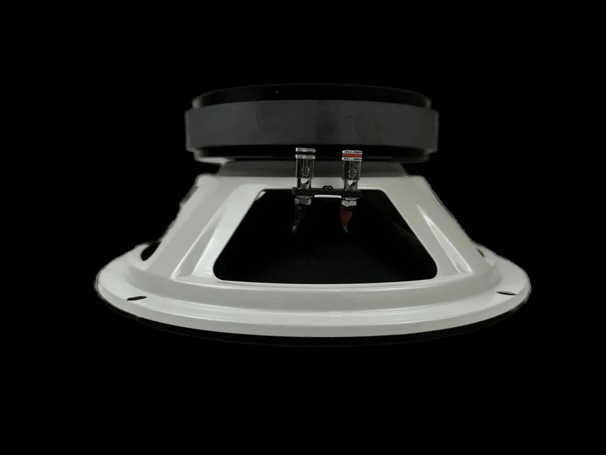 Resilient Sounds RS 10M 300W 4Ω Speaker