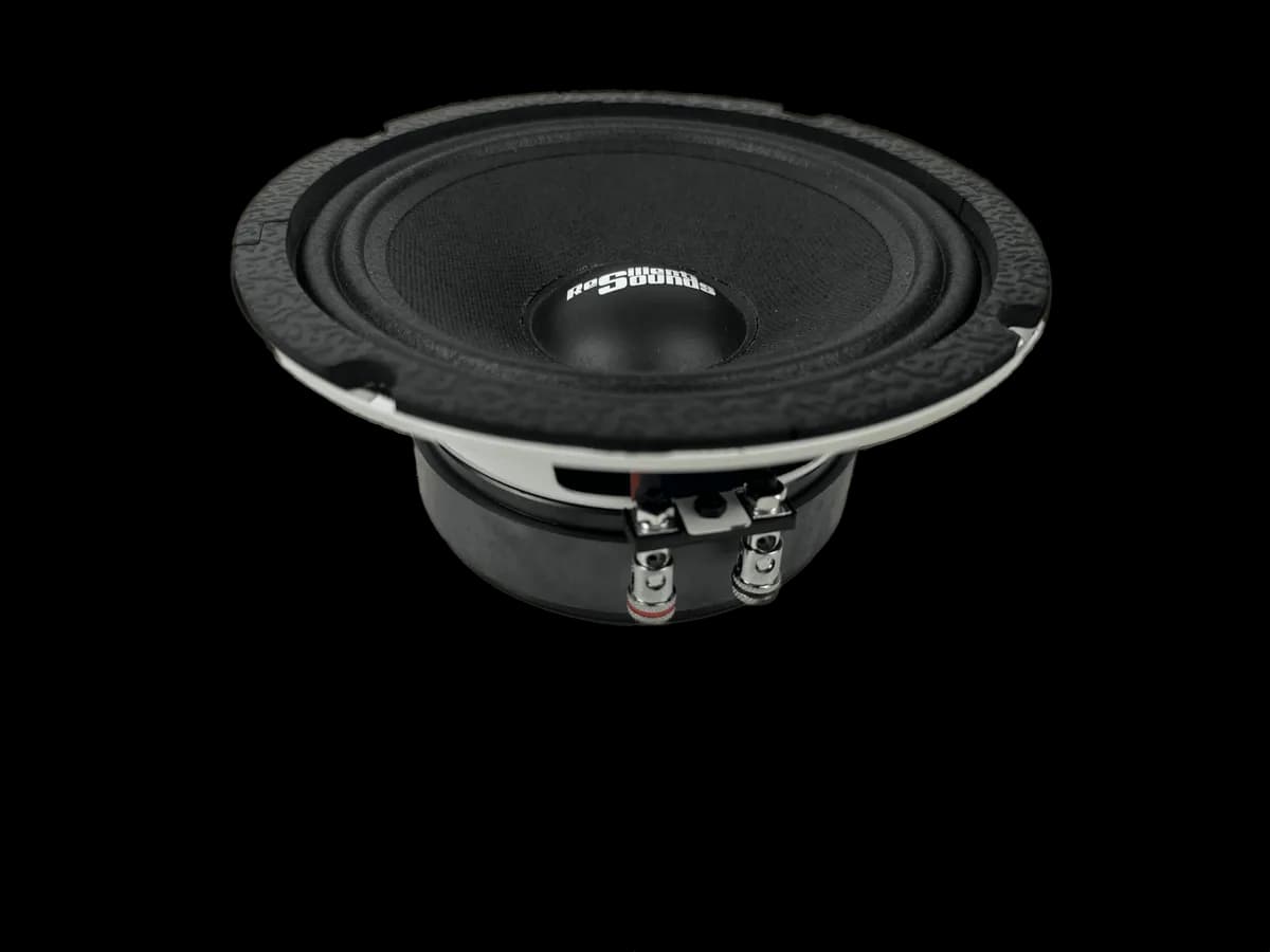 RS 65M 250W 4Ω 6.5" Speaker