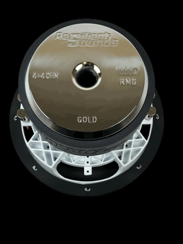 RS GOLD 10 1000W 10" Subwoofer