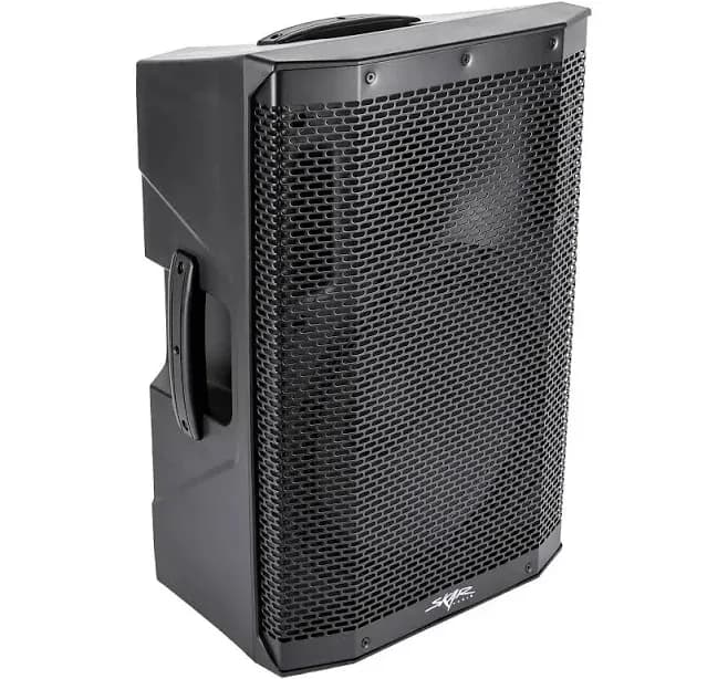 12" 1000 Watt Active 2-Way PA Loudspeaker