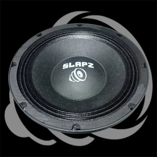 10” Mid bass speaker 8 ohm 700W