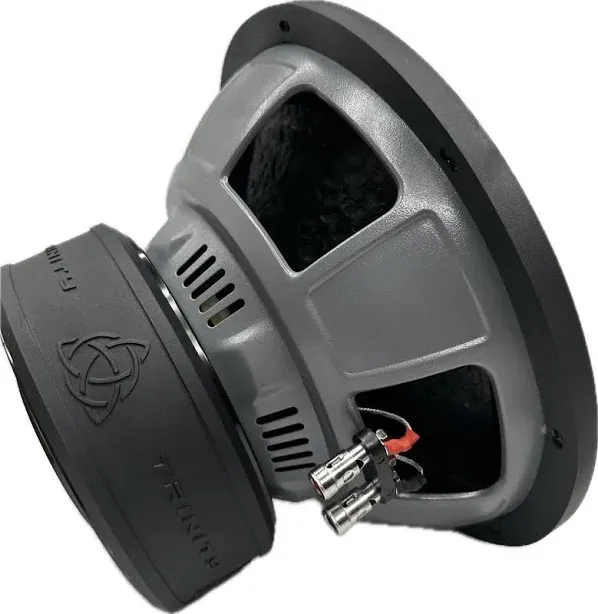 Trinity Audio TAS-E12D4 12" 2400W Dual 4-Ohm Subwoofer